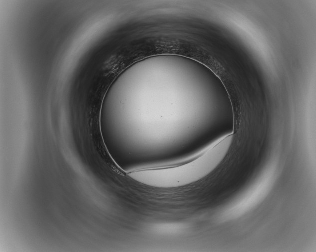 X0000116020766200911271116