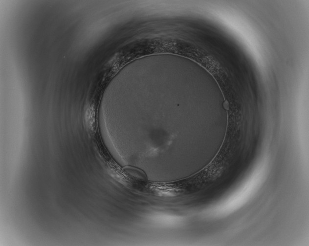 X0000116020767200911271116