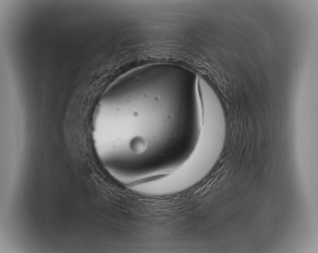 X0000116020769200911271115