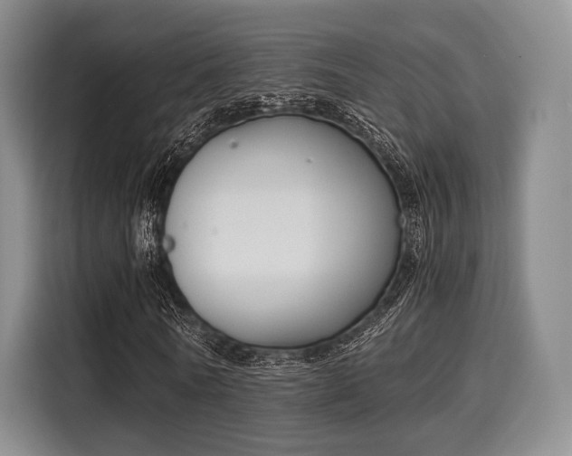 X0000116020770200911271115