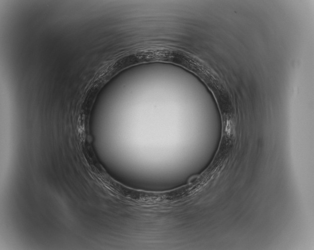 X0000116020771200911271115