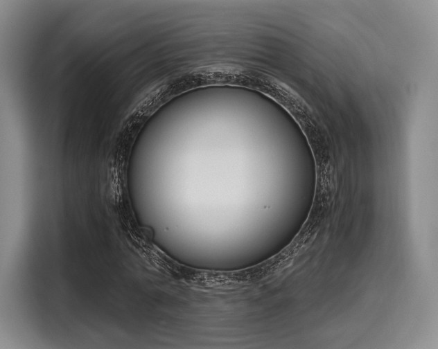 X0000116020774200911271115