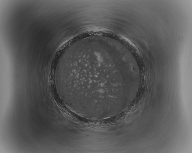 X0000116020775200911271115