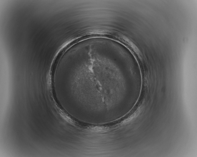 X0000116020779200911271115