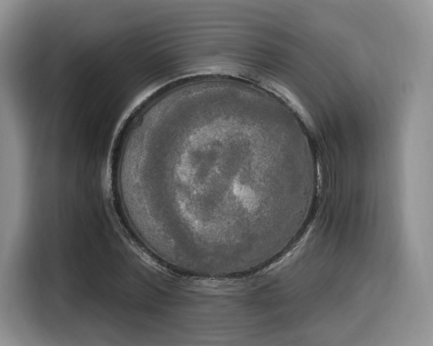 X0000116020780200911271115