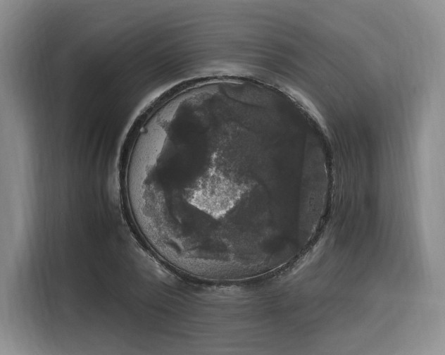 X0000116020784200911271115