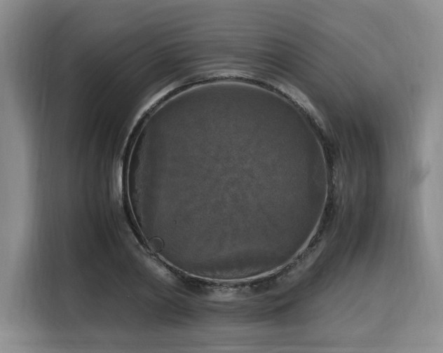 X0000116020790200911271115