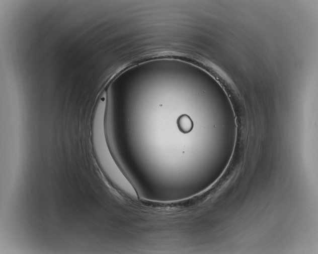 X0000116020793200911271115