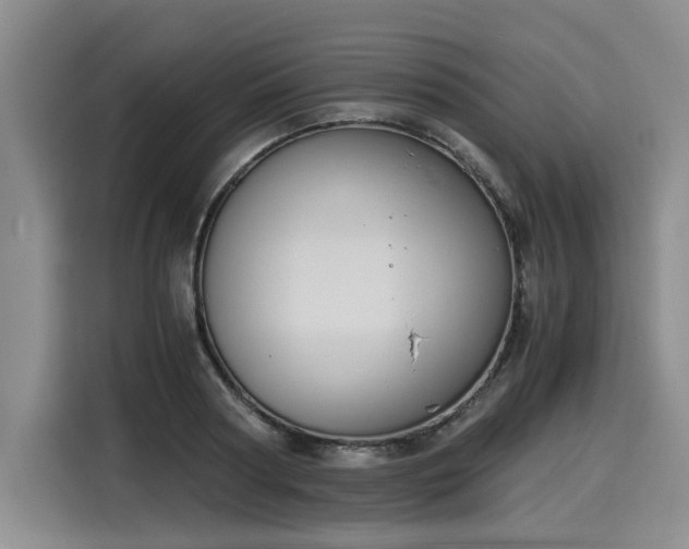 X0000116020794200911271115