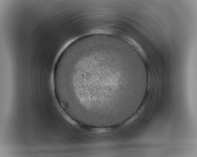 X0000116020796200911271115