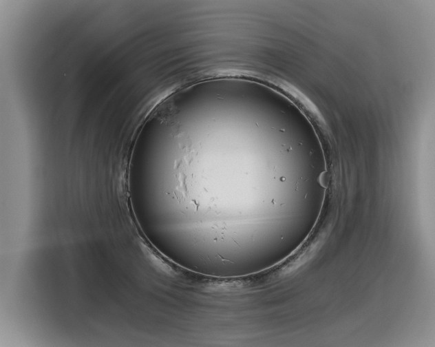 X0000116020801200911271115