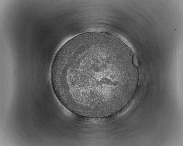 X0000116020803200911271115