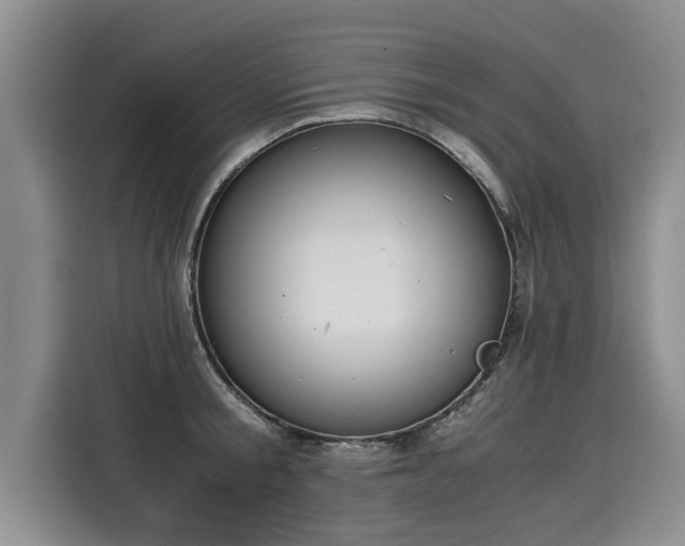 X0000116020805200911271115