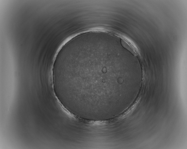 X0000116020808200911271115