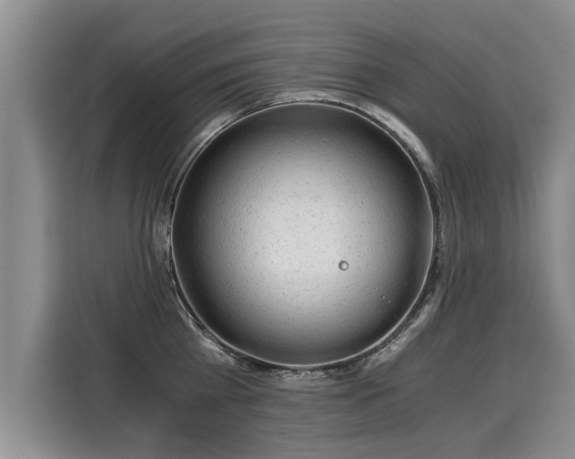 X0000116020809200911271115