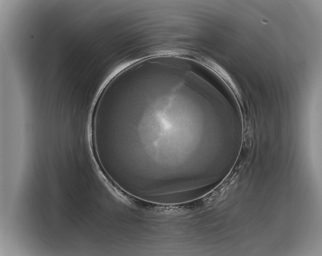 X0000116020811200911271115