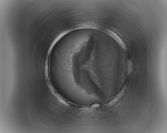 X0000116020812200911271115