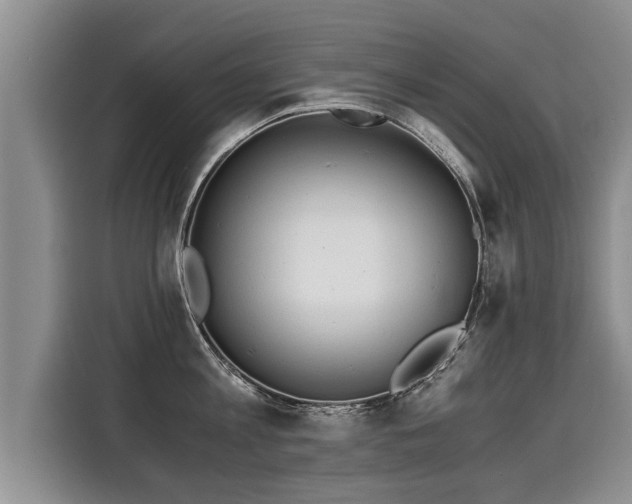 X0000116020813200911271115