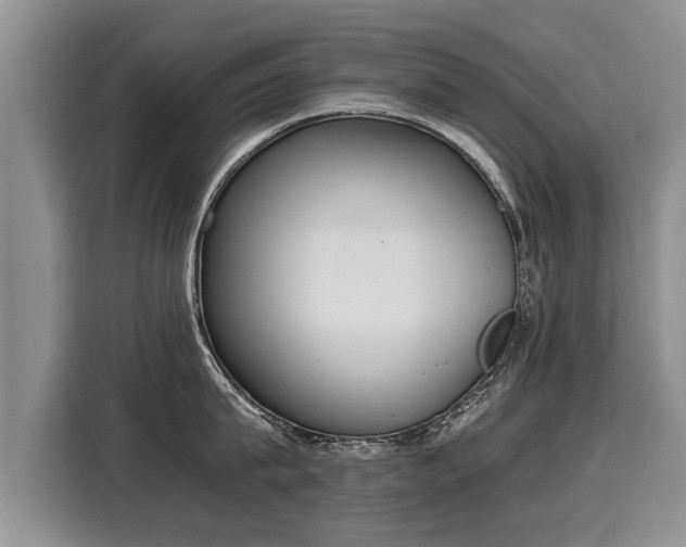 X0000116020815200911271115