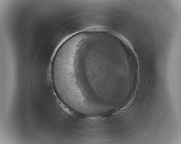 X0000116020816200911271115