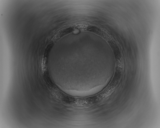 X0000116020818200911271114