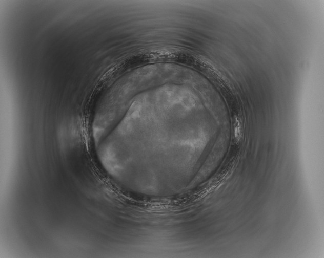 X0000116020819200911271114