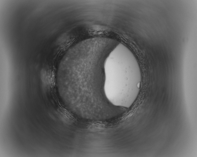 X0000116020820200911271114