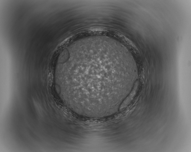 X0000116020821200911271114