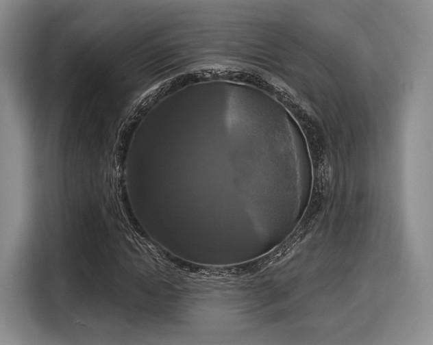 X0000116020822200911271114