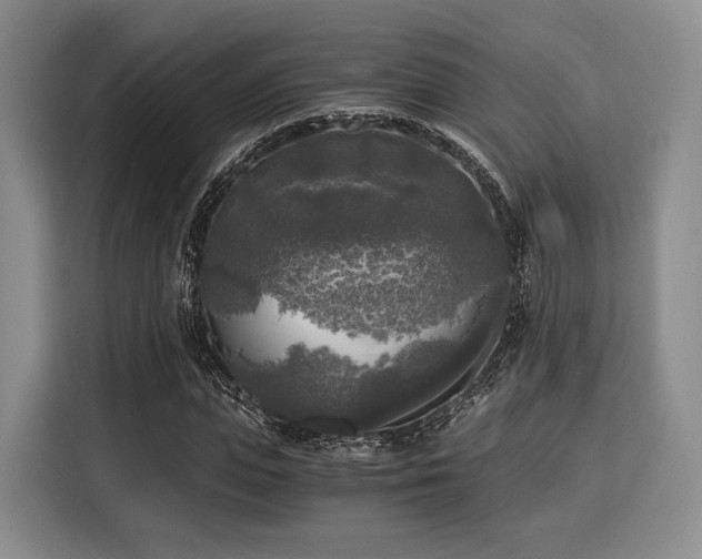 X0000116020823200911271114