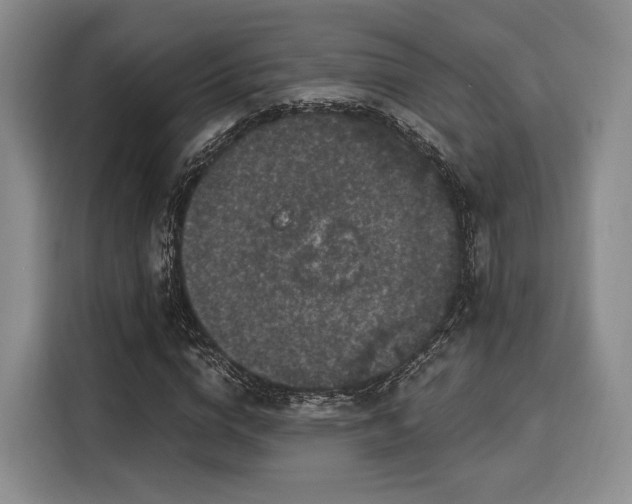 X0000116020824200911271114