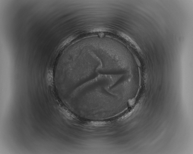 X0000116020825200911271114