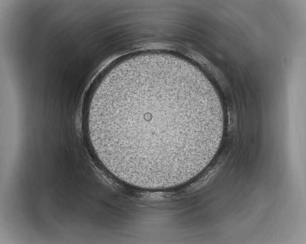 X0000116020828200911271114