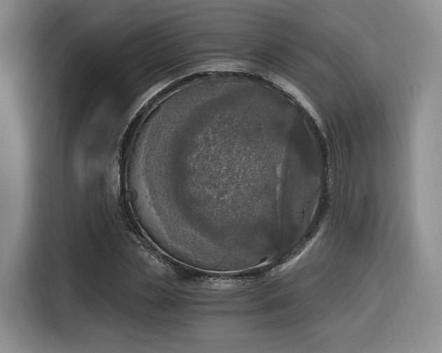 X0000116020829200911271114