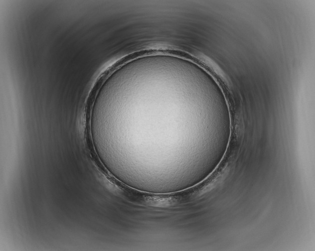 X0000116020831200911271114