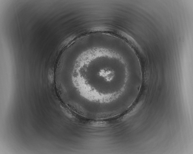 X0000116020833200911271114