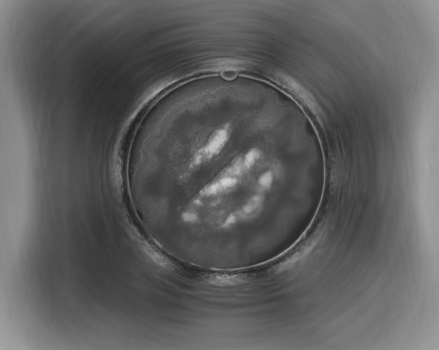 X0000116020835200911271114