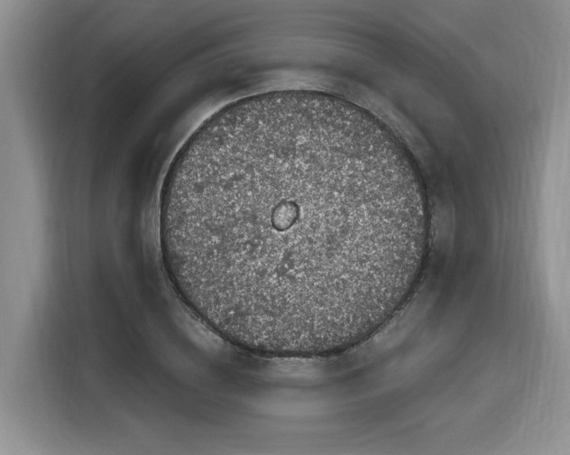 X0000116020836200911271114