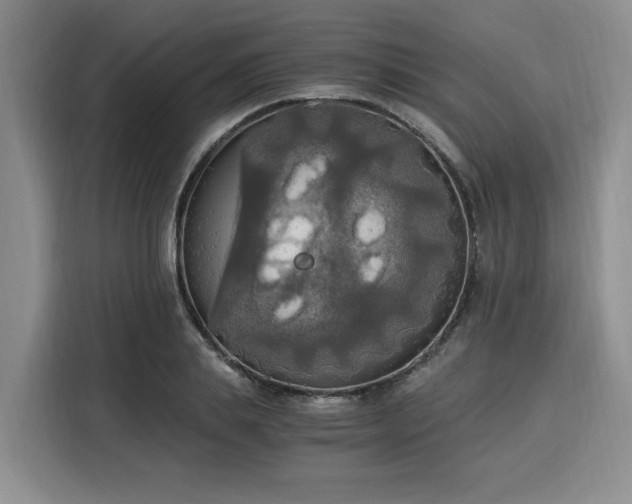 X0000116020839200911271114