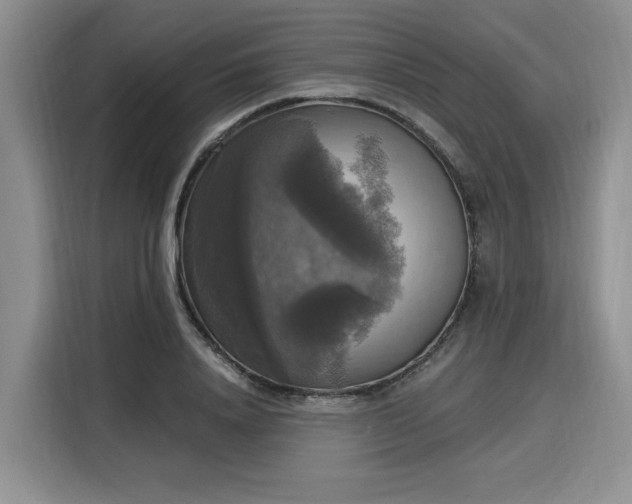 X0000116020840200911271114