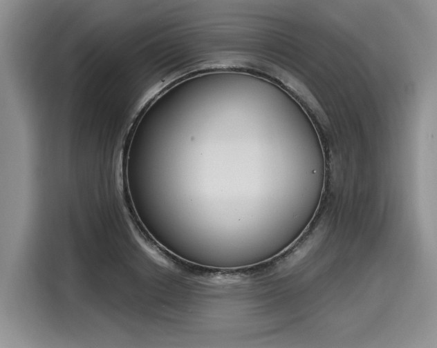 X0000116020842200911271114