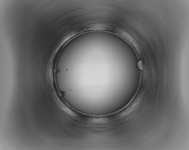 X0000116020843200911271114