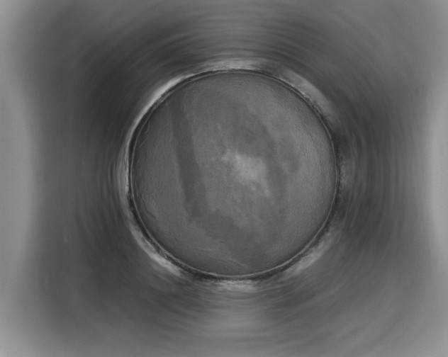 X0000116020844200911271114