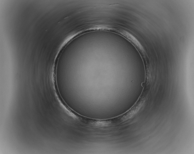 X0000116020847200911271114