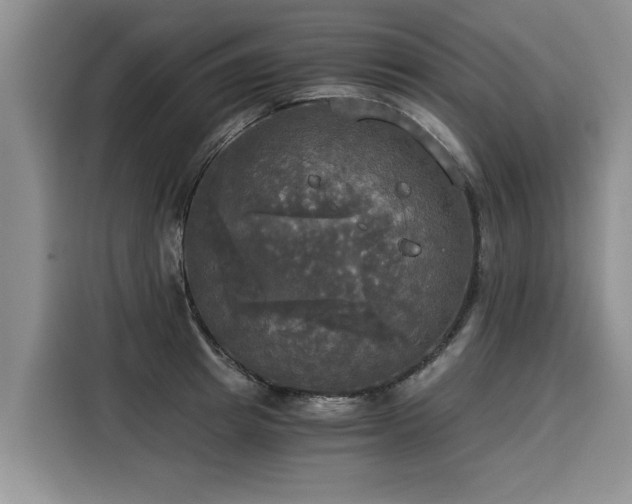 X0000116020849200911271114