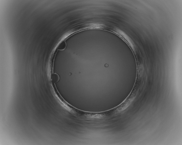 X0000116020851200911271114