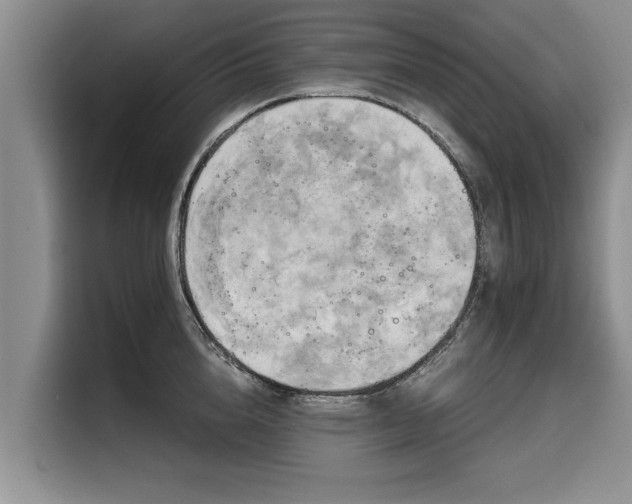 X0000116020856200911271114