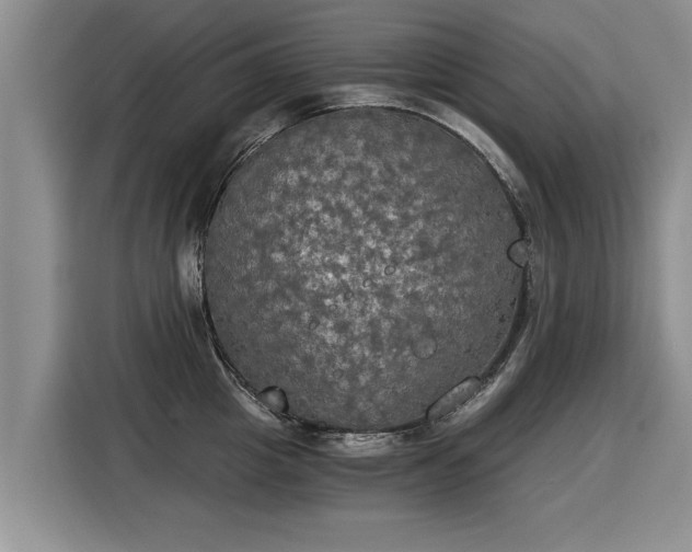 X0000116020857200911271114