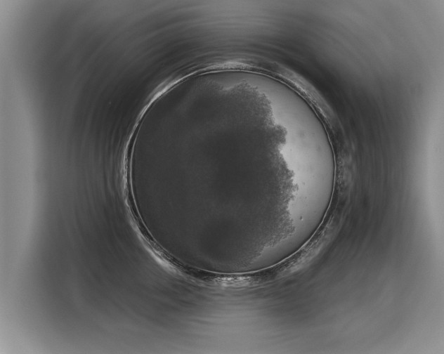 X0000116020858200911271114