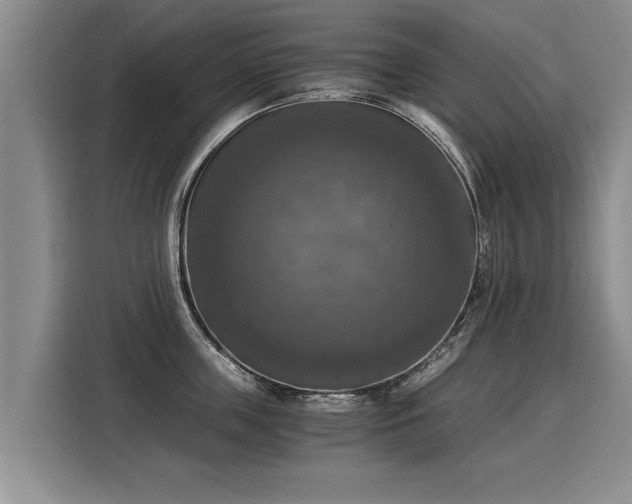 X0000116020859200911271114